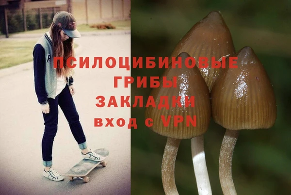 метадон Белокуриха