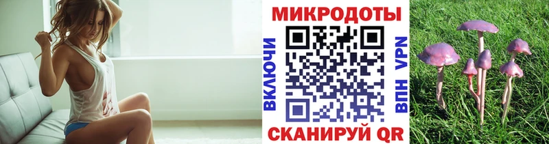 купить наркотики сайты  Козловка  Галлюциногенные грибы Psilocybe 