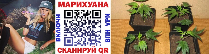 hydra ТОР Козловка Шишки марихуана конопля